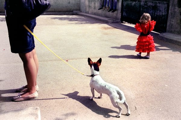 color street photo by Pierre Belhassen, a dog and a young girl