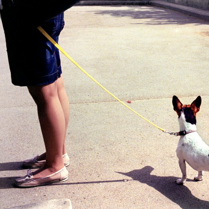 color street photo by Pierre Belhassen, a dog and a young girl