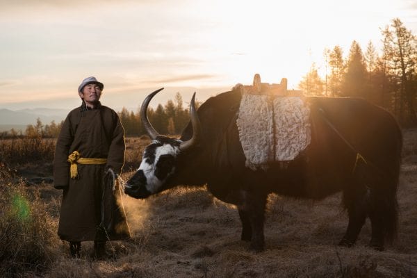 The Tsaatan people, Mongolia, photography series by Madoka Ikegami, reindeer herders