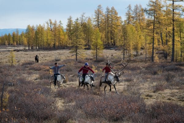 The Tsaatan people, Mongolia, photography series, reindeer herders