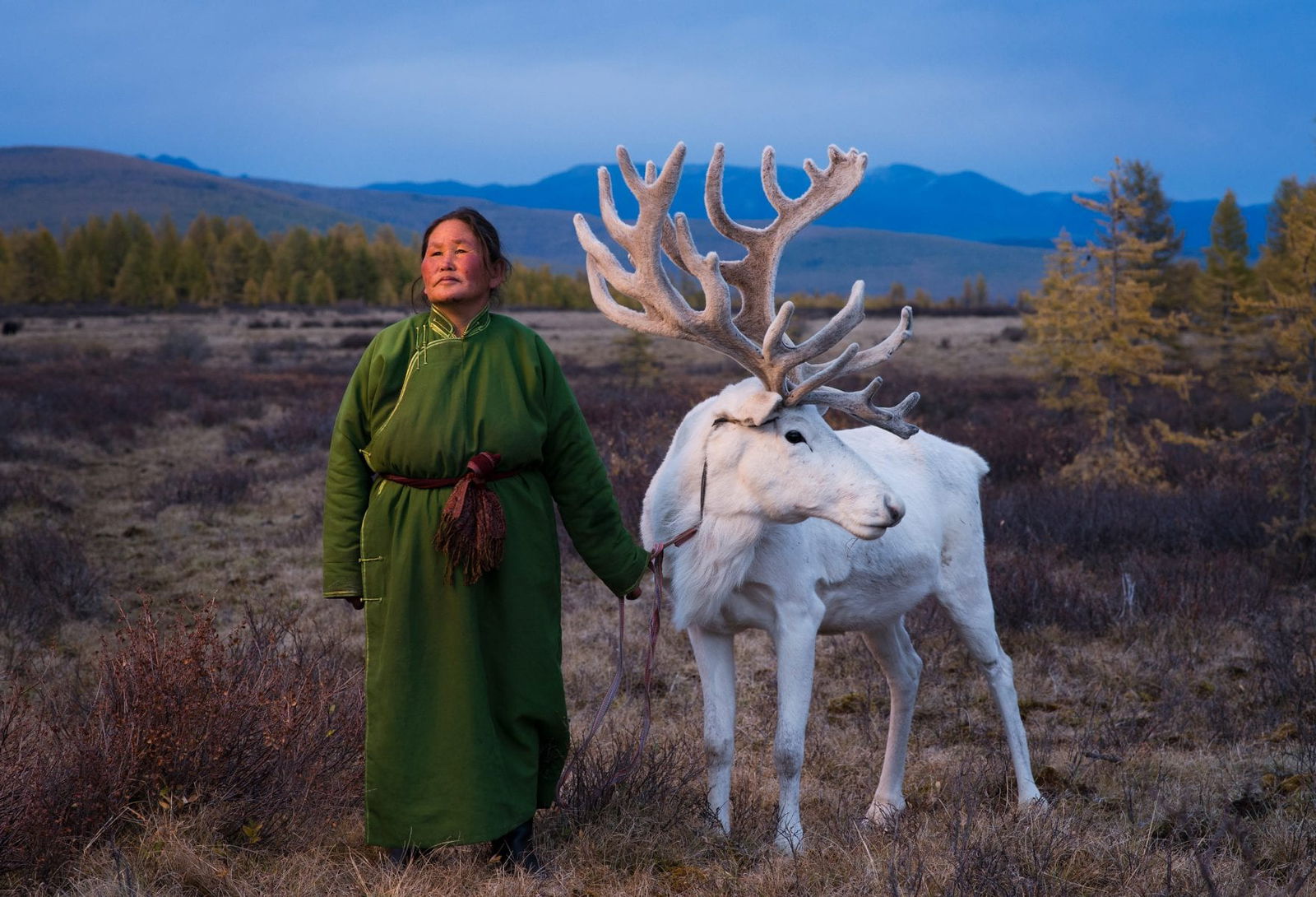 The Tsaatan people, Mongolia, photography series by Madoka Ikegami, reindeer herders