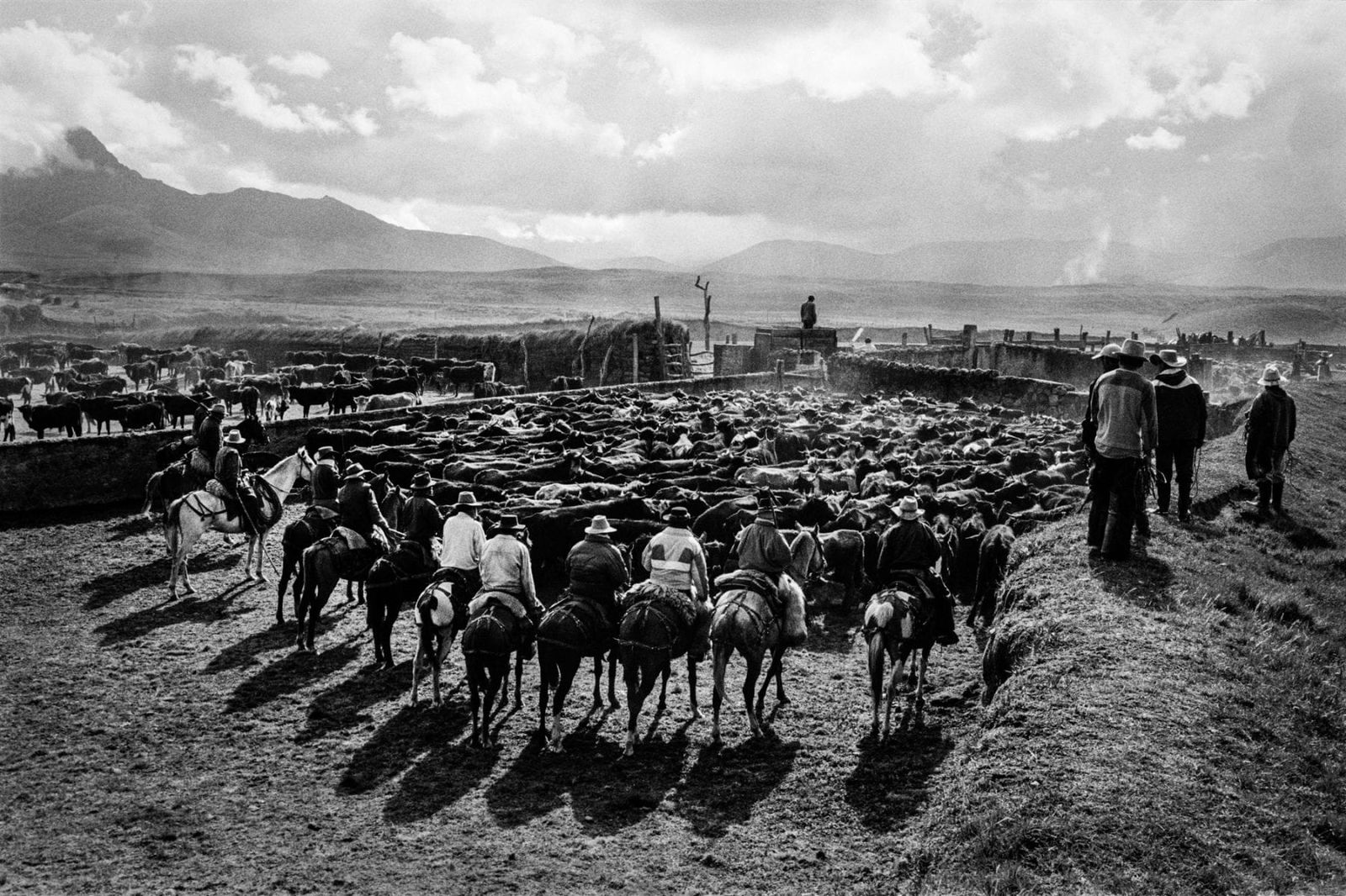 black and white photo of cowboys riding horses