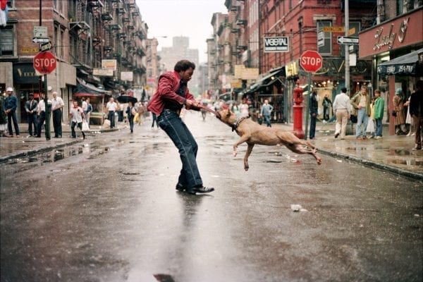 Street Photography,Man and Dog, 1980, New York, Jamel Shabazz Cheryl Dunn Everybody Street