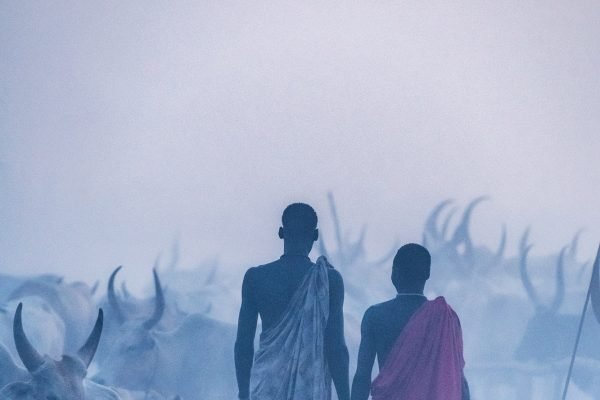 Travel photograph by Trevor Cole of two men surrounded by their cattle walking in Khartoum, Sudan