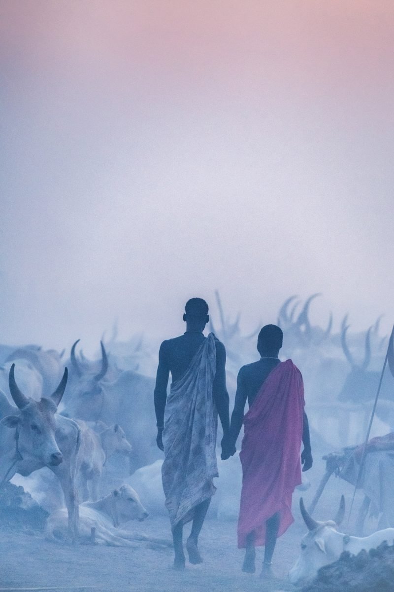 Travel photograph by Trevor Cole of two men surrounded by their cattle walking in Khartoum, Sudan