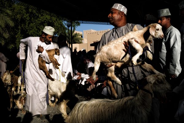 Goat auctions in Nizwa, Oman, color photography by Maude Bardet