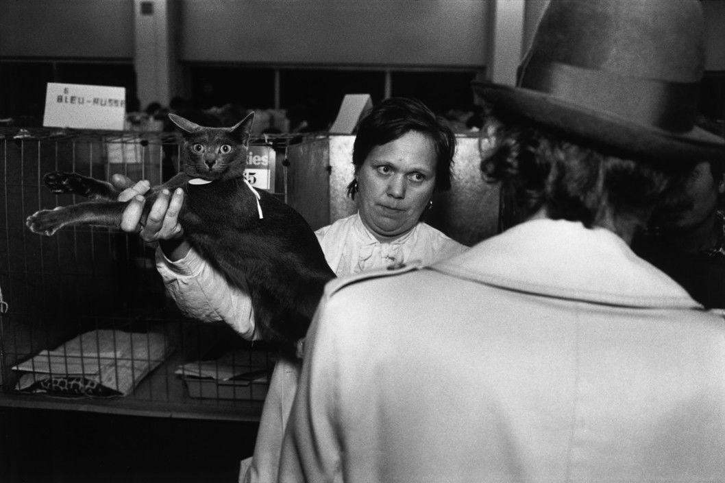 Black and white street photography by Richard Kalvar, a cat show in Paris 1985