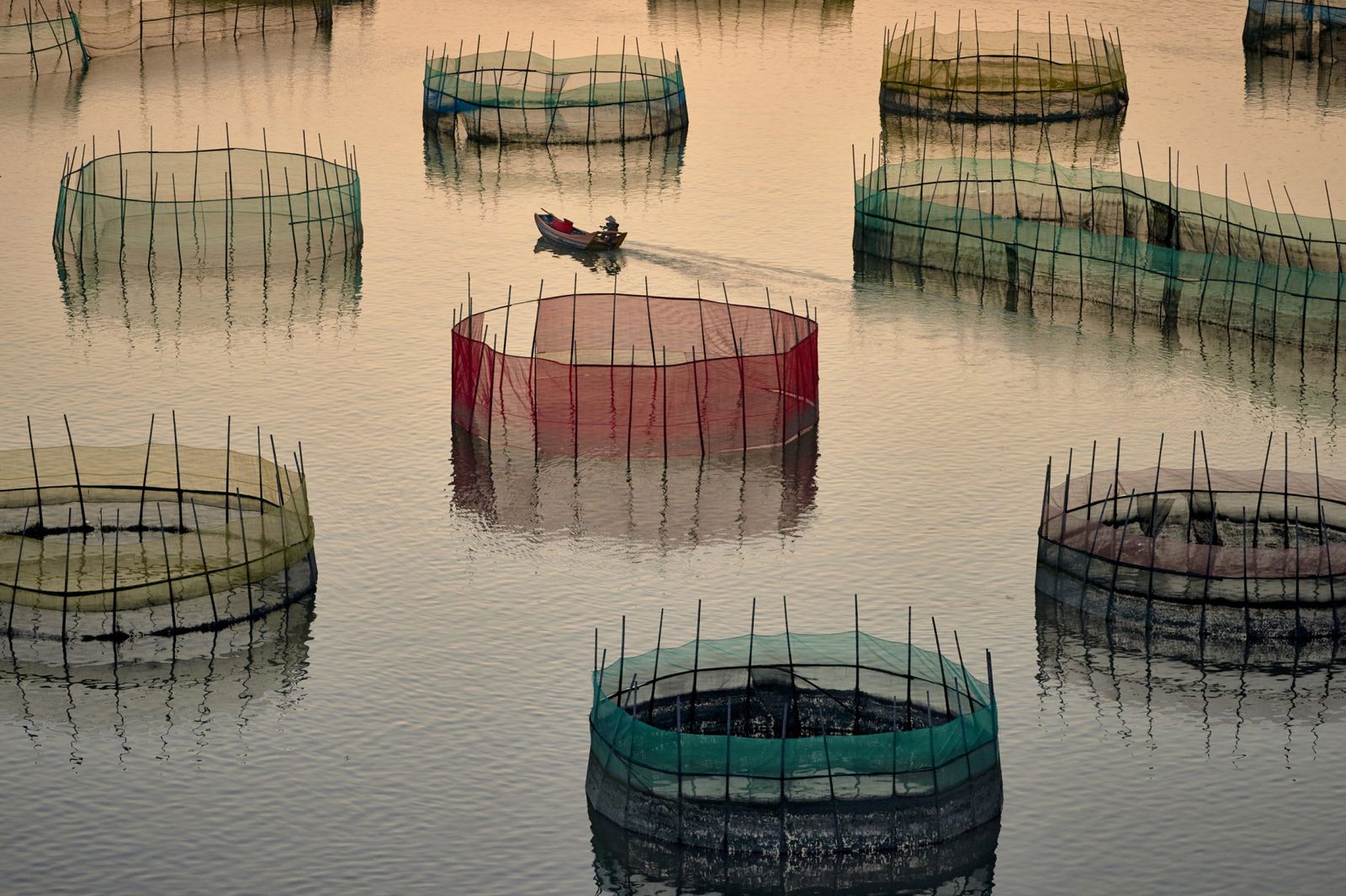 Travel photograph of Fishing nets at Xiapu, China by Niall Chang