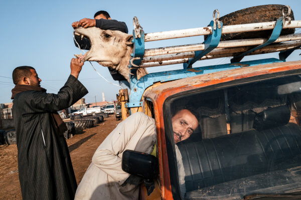 color street photo of camel traders in Egypt by Jonathan Jasberg