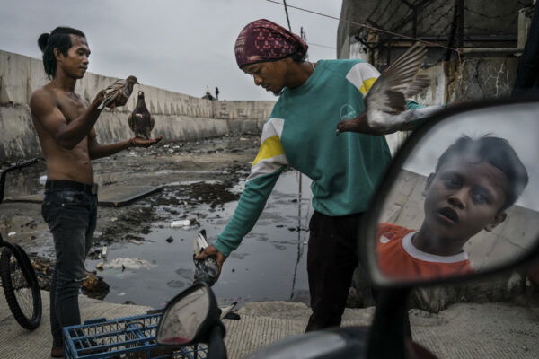 color street photo of boys and pigeons in Jakarta, Indonesia by Kristof Vadino