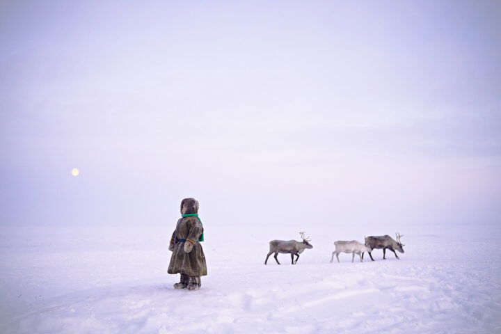 Color documentary photography by Nicola Ducati, Nenets child and reindeer, Siberia, from Shades of white