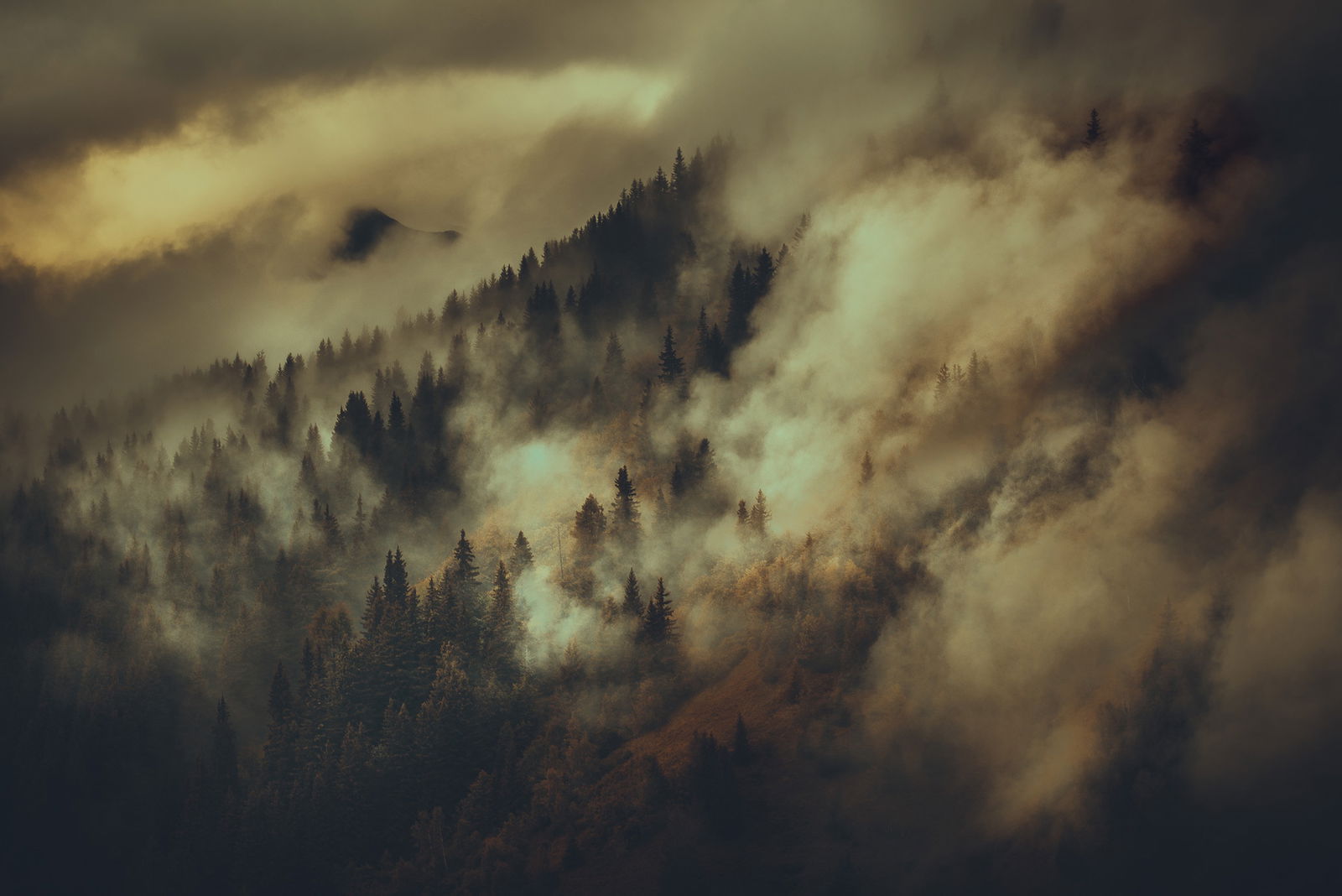 color landscape photography by Yohan Terraza, forest, mountain, clouds