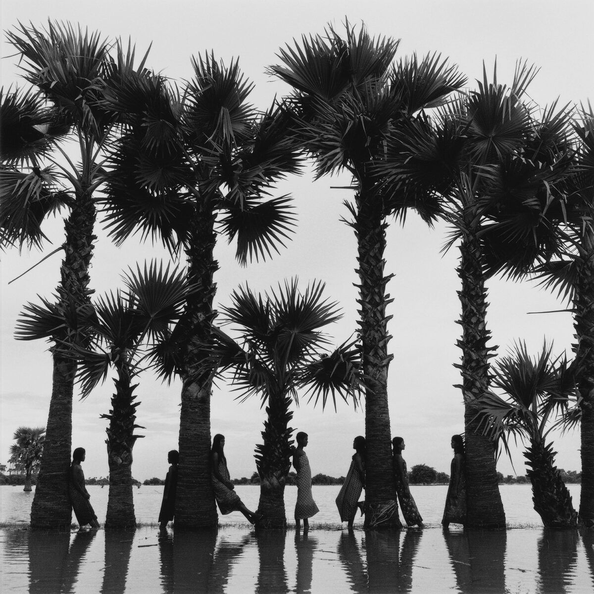 Black & white portrait photography by Monica Denevan, people, palm trees, Burma, Myanmar