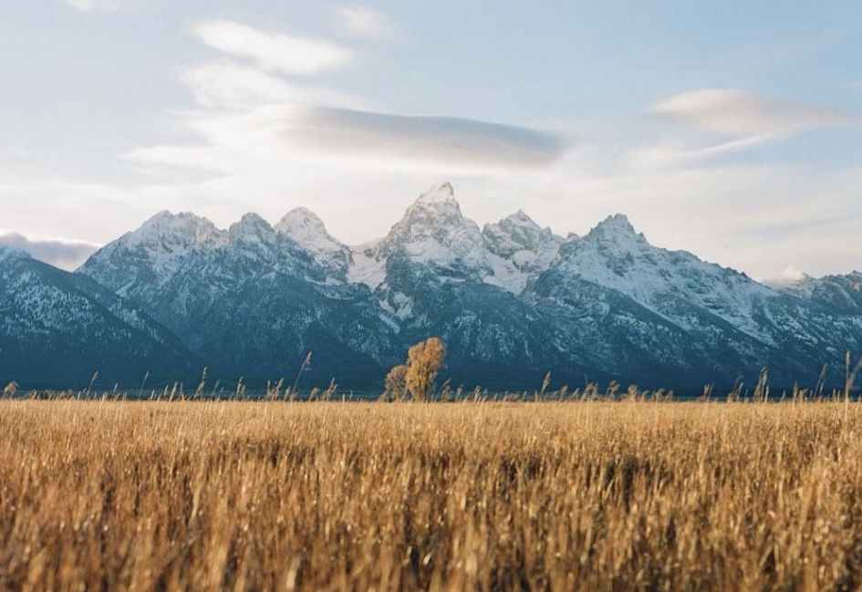 Color film landscape photography by Jakob Lilja-Ruiz. Mountains and corn fields