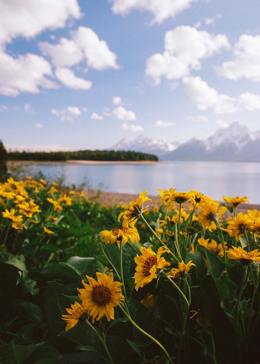 Color photography by Jakob Lilja-Ruiz, landscape of mountains and a lake USA