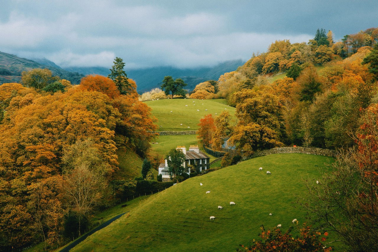 color landscape photo of british countryside by Daniel Casson