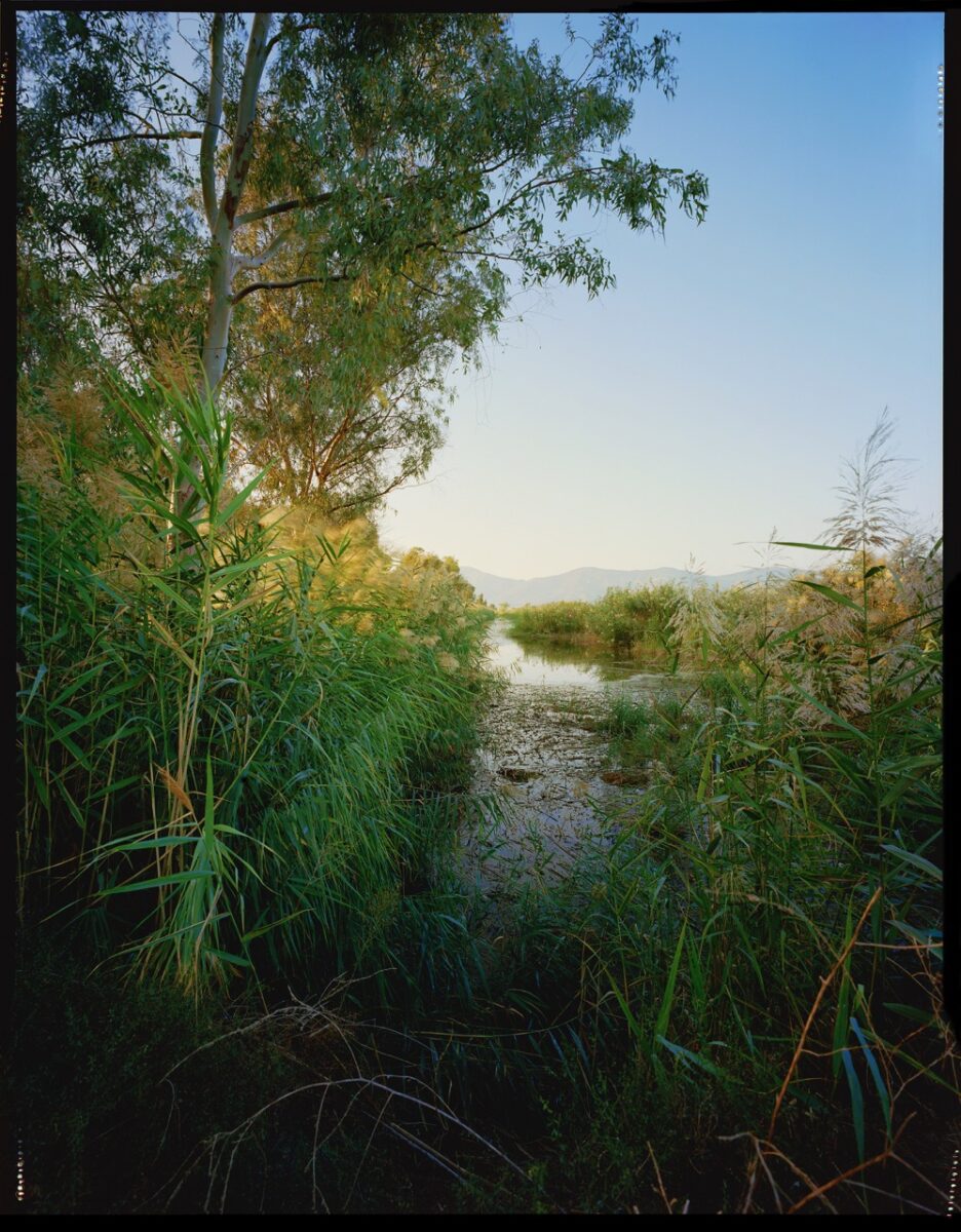 Color landscape photography by Laurent Montaron. River surrounded by trees and grass