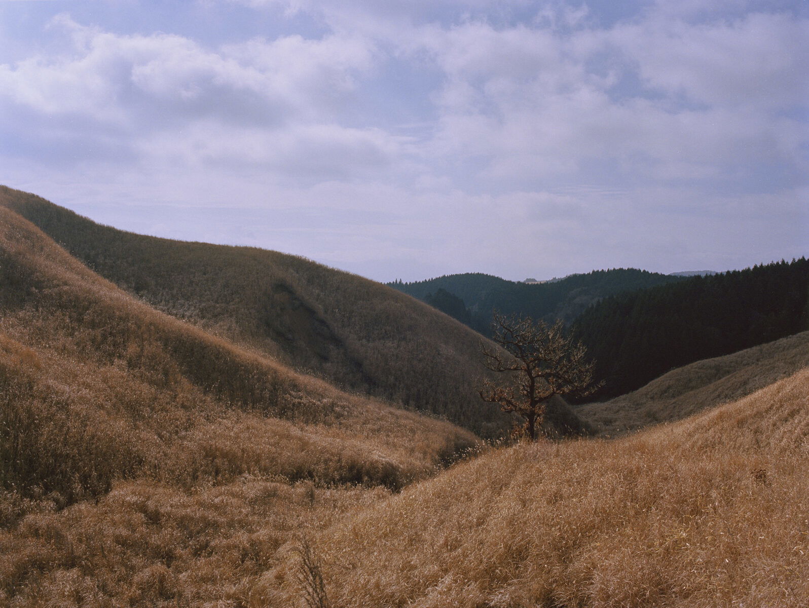 Photo of Asian landscape Eric Chakeen