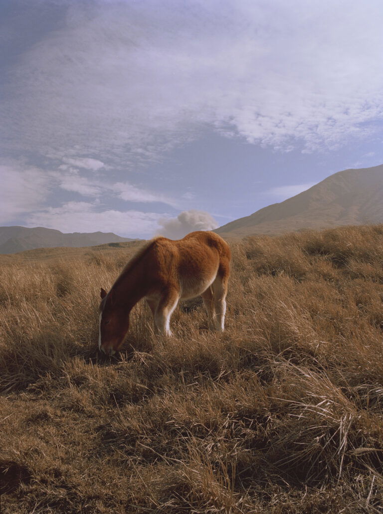 Photo of a horse landscape by Eric Chakeen