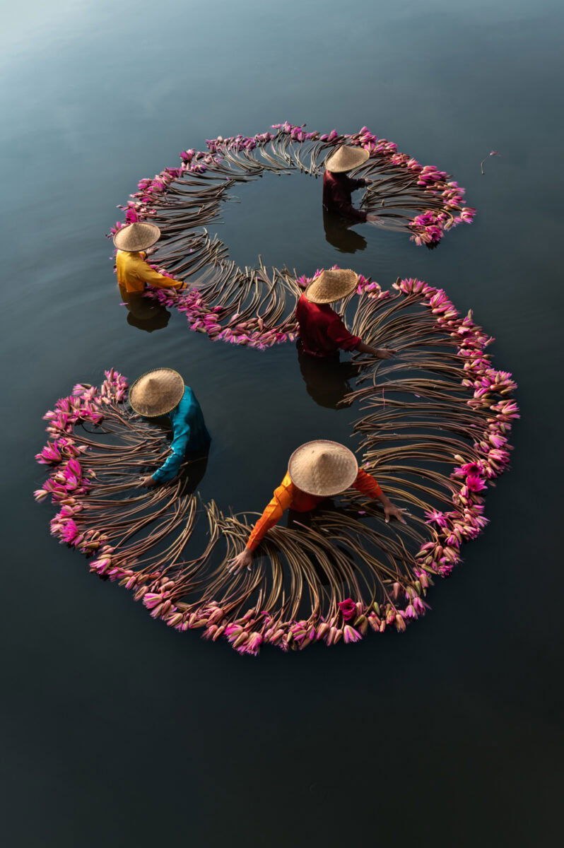 color photo of people harvesting water lilies in Vietnam by Jacopo Della Valle