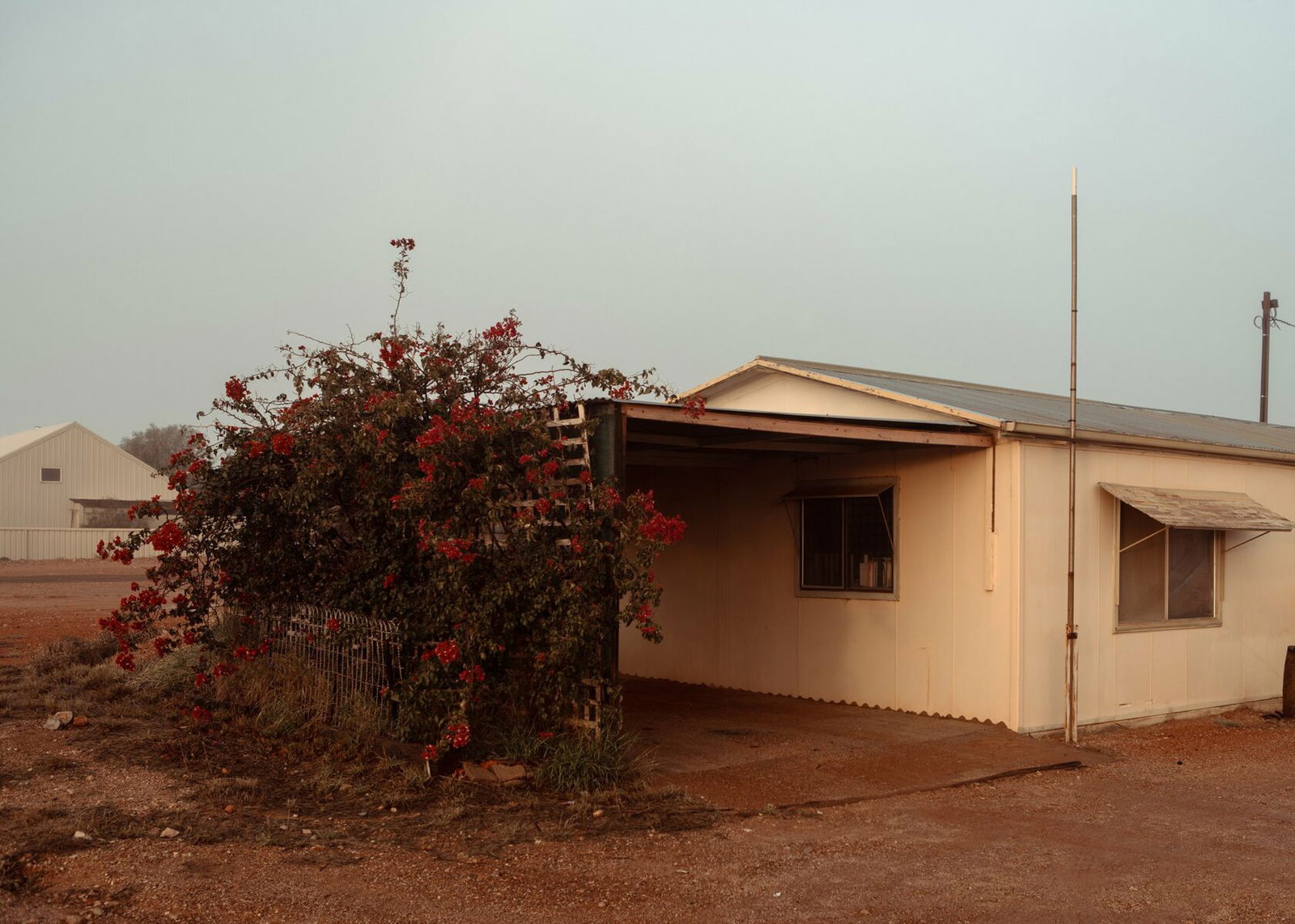 Documentary photography by Mattia Panunzio. Small house and a bush