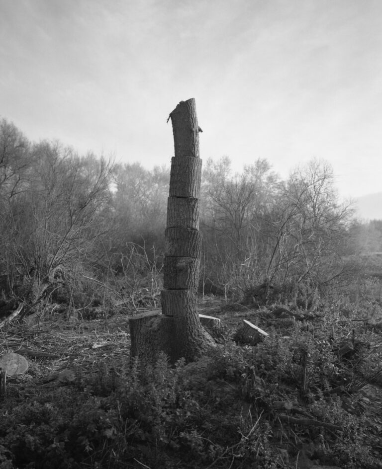 Black & white photo of a tree stump by Juan Miguel Ramírez-Suassi