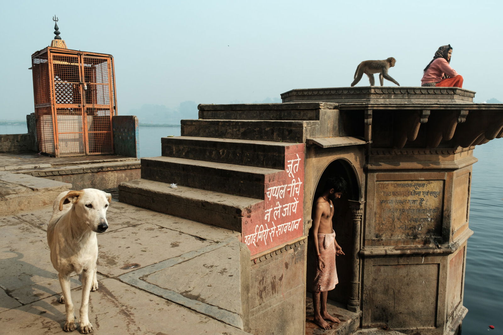 color street photo of people , monkey and dog by the Ganges in India by Gil Kreslavsky