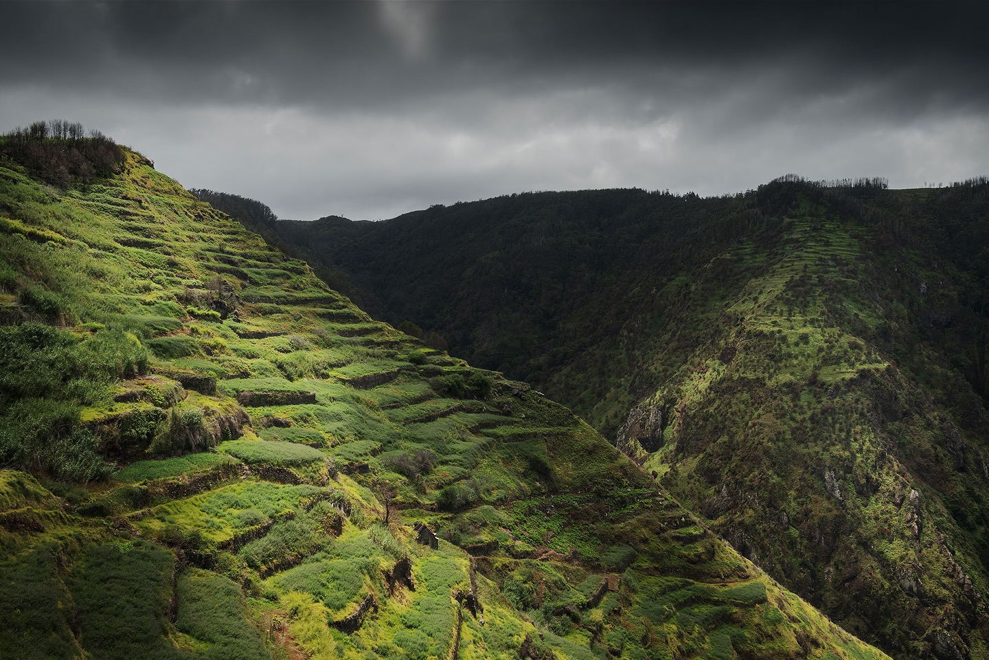 color landscape photo of Madeira by Jennifer Esseiva