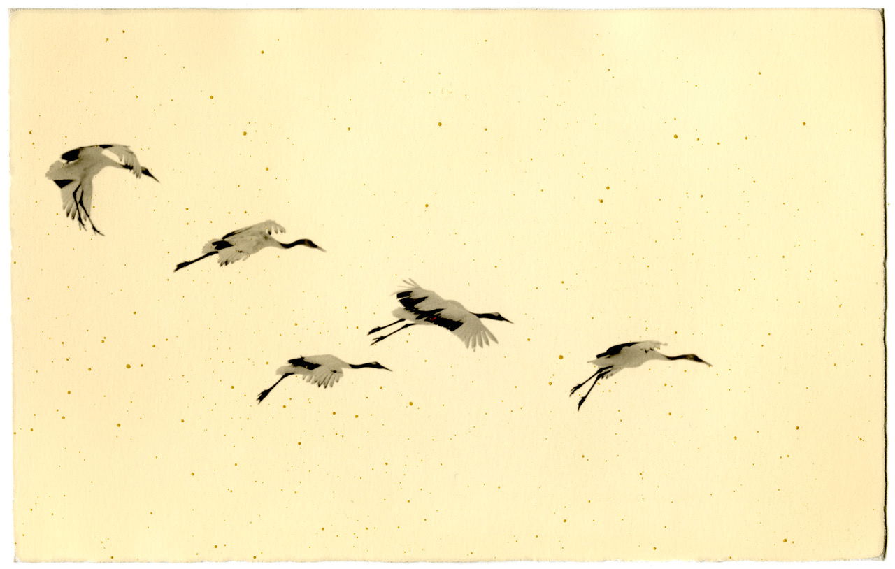 Photo print of birds flying in Japan by Yamamoto Masao