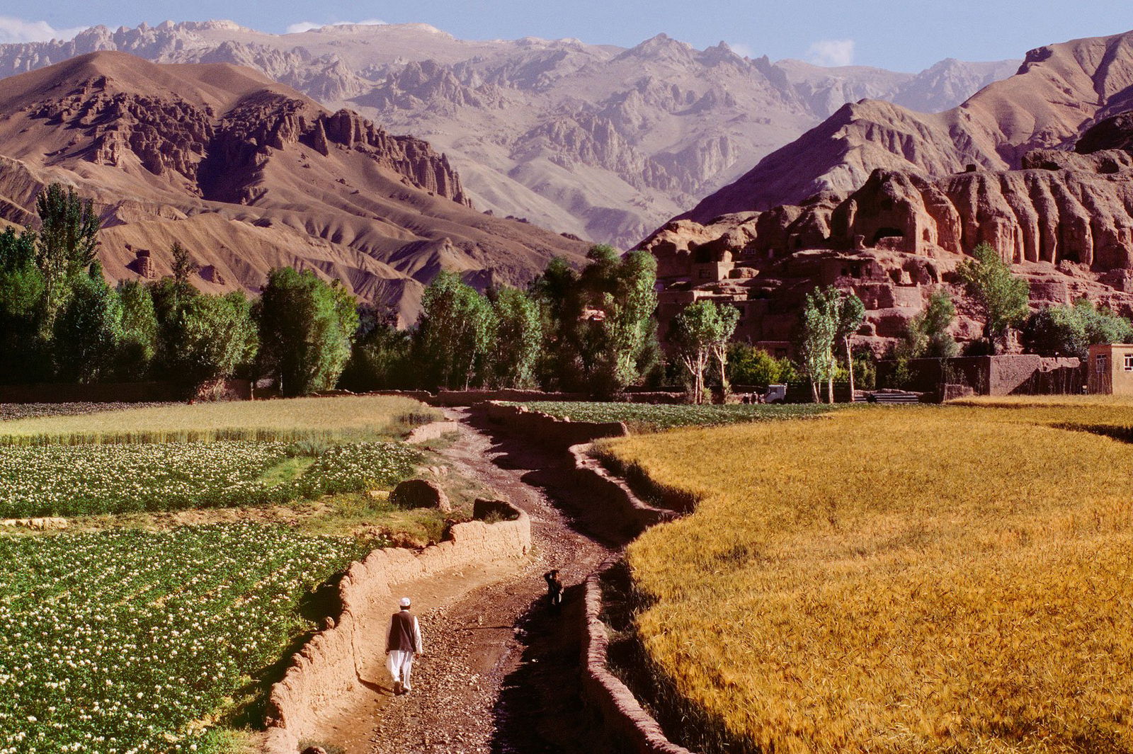 color photo of Bamiyan, Afghanistan, 2006 by Steve McCurry