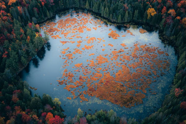 color landscape photo of lake and forest in autumn, Muskoka district by Rakesh Baro