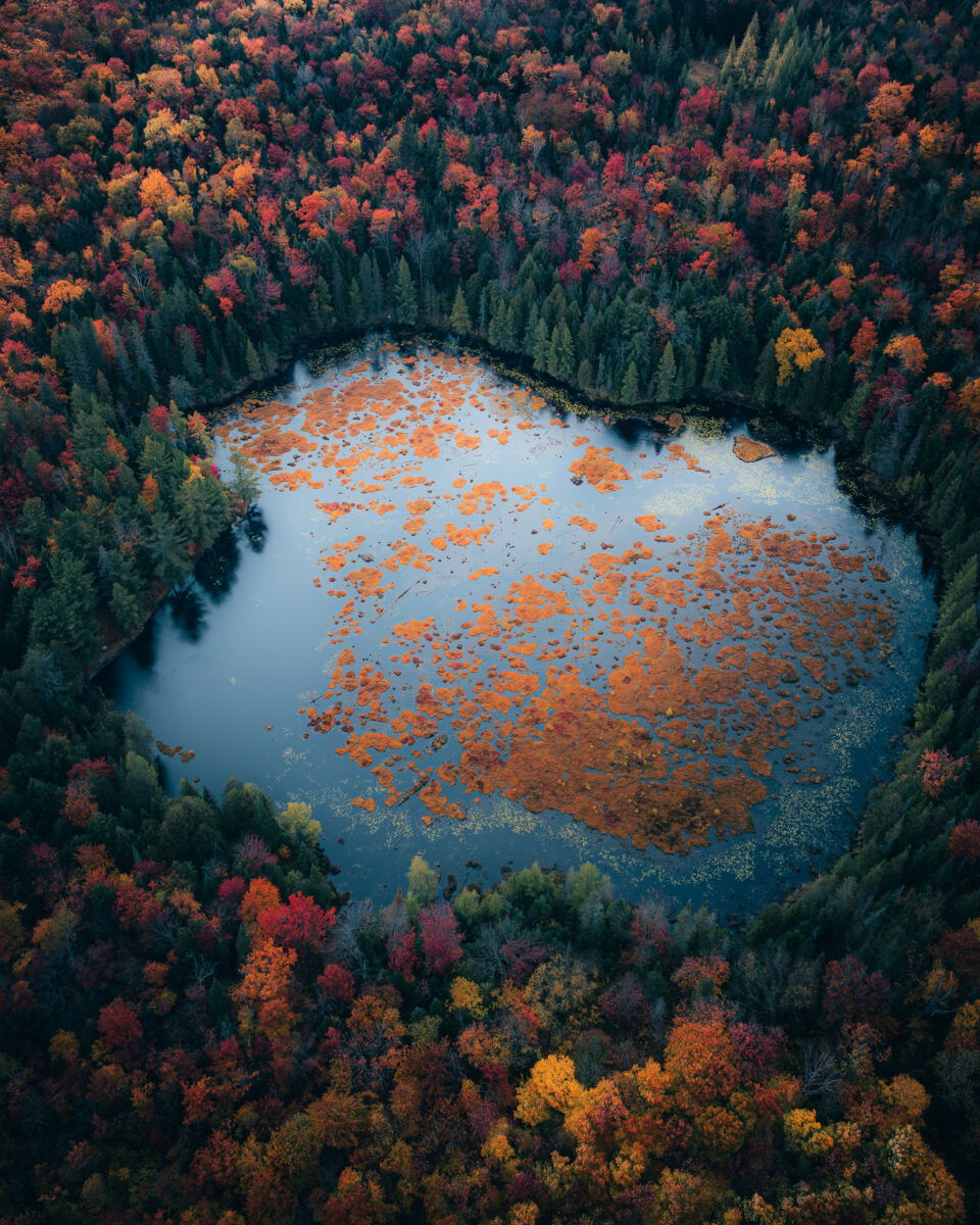 color landscape photo of lake and forest in autumn, Muskoka district by Rakesh Baro