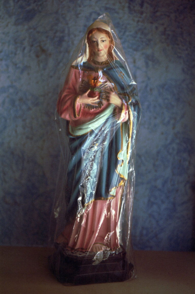 Marisol Mendez - photo of a virgin mary efigie