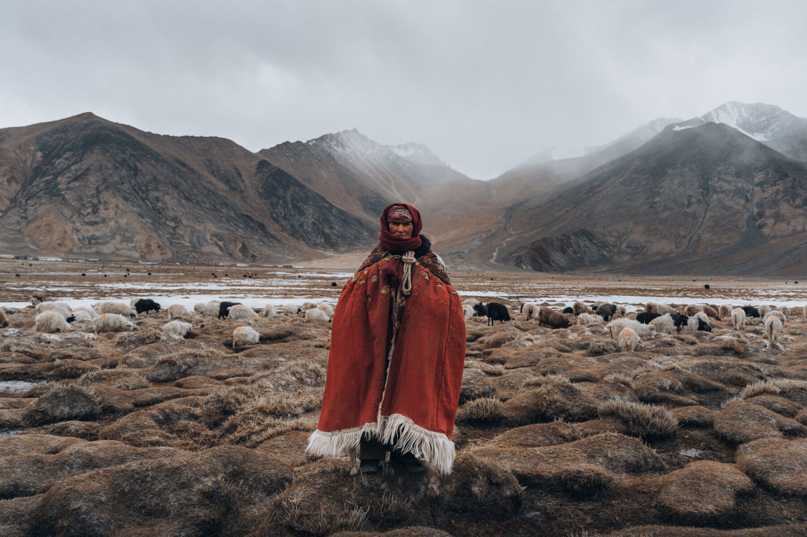 color landscape and portrait photo of a nomadic woman in Ladakh region, India by Wasim Malik