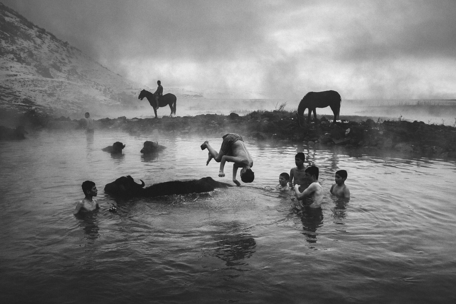 black and white photo of boys and animals swimming in Bitlis, Türkiye by Yusuf Eminoglu