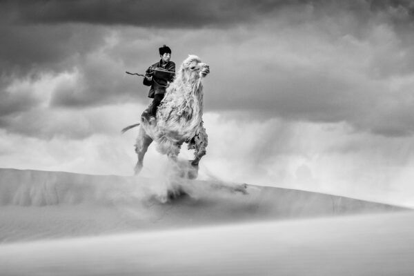 black and white photo of boy with camel during Gobi Saikhan Yak Festival in southern Mongolia by Lawrence Bernstein