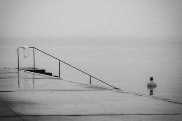 black and white photo of man swimming in Bellevue Strand, Klampenborg, Denmark by Mette Ovgaard